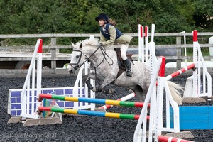 Class 4 - Fences 2'3 to 2'6